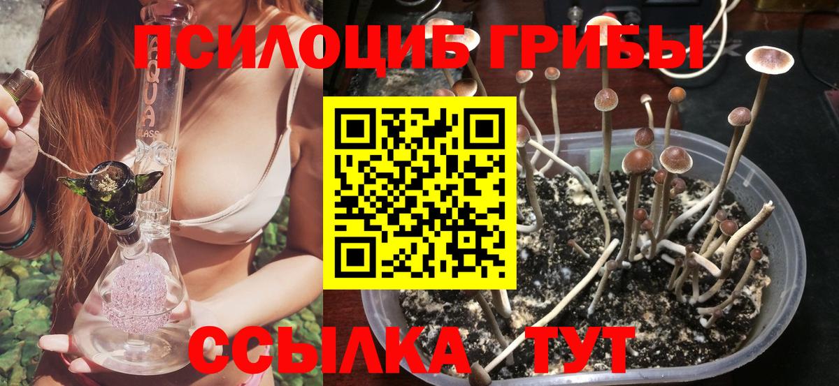 Галлюциногенные грибы Psilocybine cubensis  Вход с VPN  Альметьевск  Галлюциногенные грибы мухоморы 
